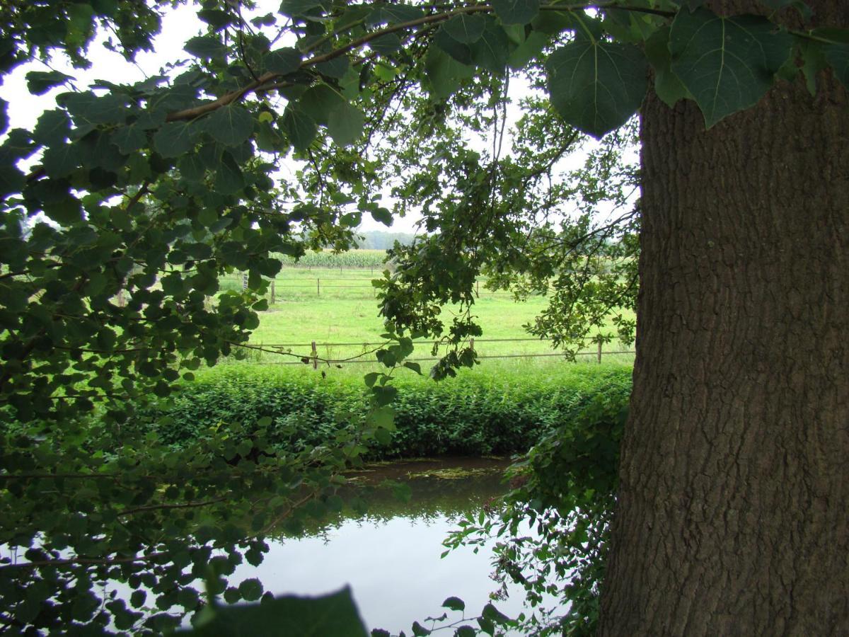 B&B Onder Ons Riet Cromvoirt Exteriér fotografie